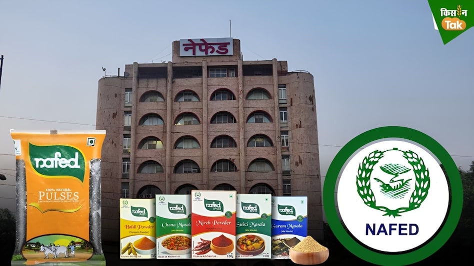 बिचौलियों से मुक्ति-खाते में आते हैं उपज के पैसे, किसानों के लिए कारगर हथियार बना नेफेड का यह पोर्टल बिचौलियों से मुक्ति-खाते में आते हैं उपज के पैसे, किसानों के लिए कारगर हथियार बना नेफेड का यह पोर्टल