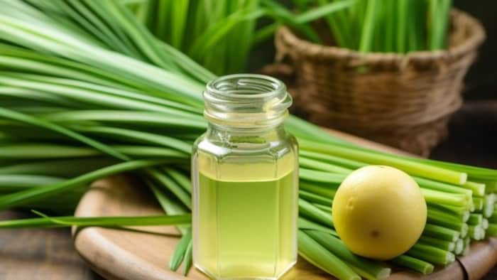 लेमनग्रास के फायदे