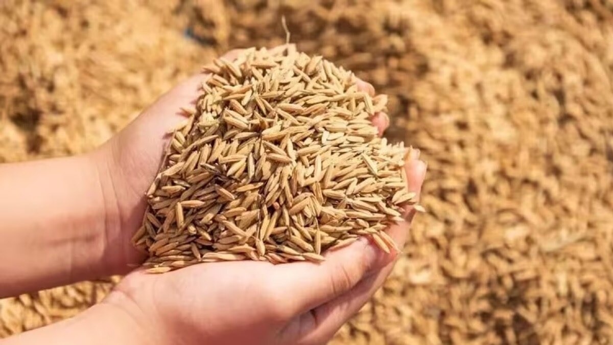 Paddy Procurement