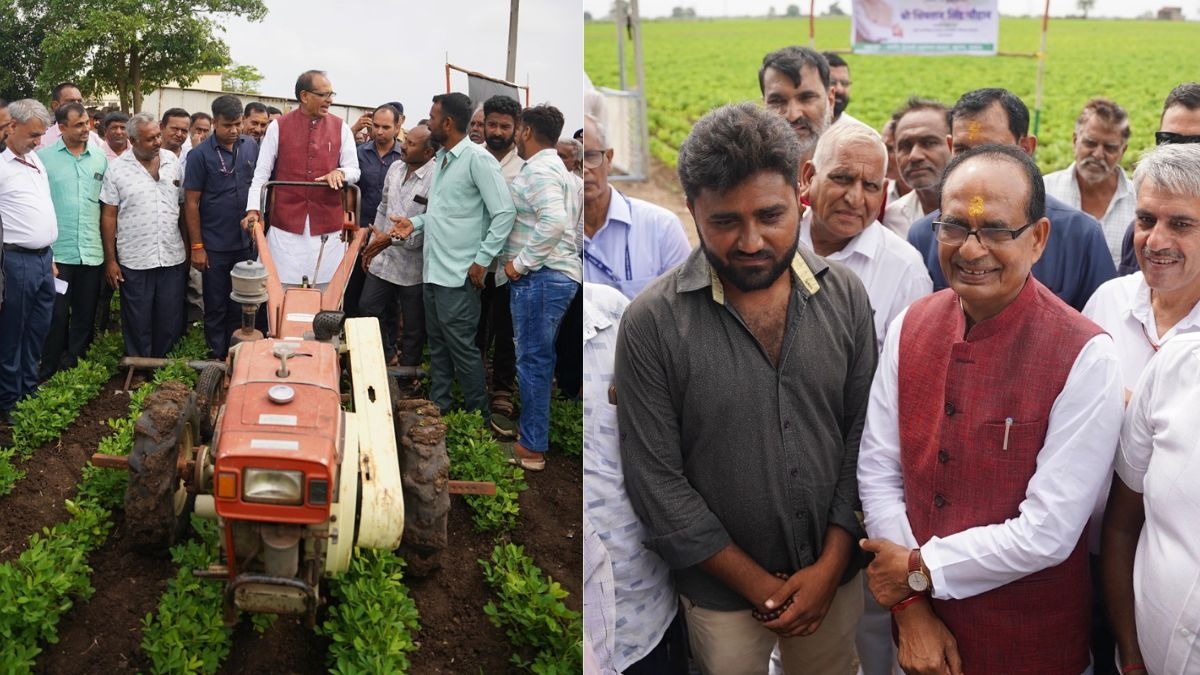 Shivraj Singh Junagarh Moongphali khet daura