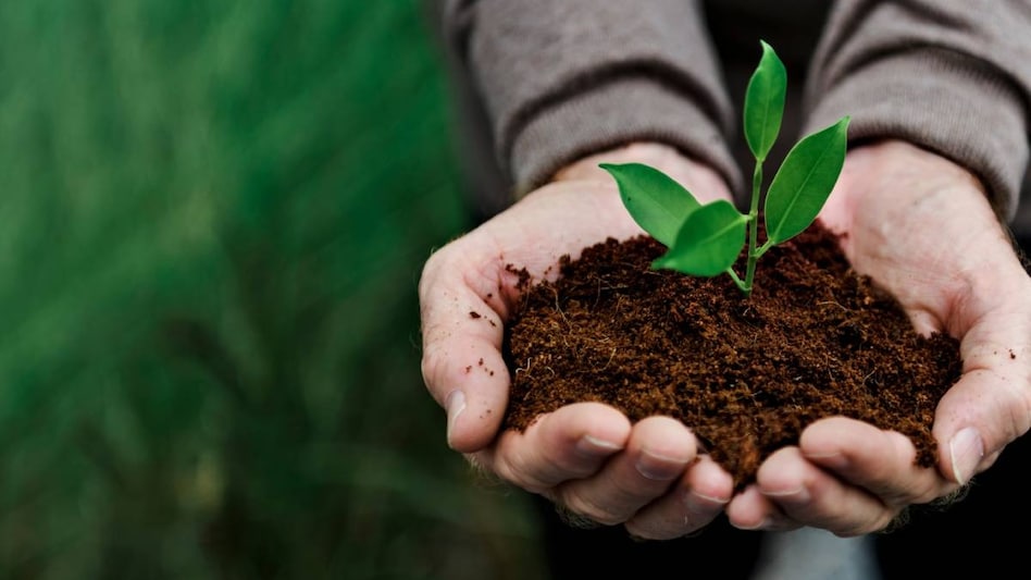 Fertilizer Crisis: इन उर्वरकों  की कमी से बढ़ जाएगी महंगाई, 13 फीसदी तक महंगी हो जाएंगी चीजें!  Fertilizer Crisis: इन उर्वरकों  की कमी से बढ़ जाएगी महंगाई, 13 फीसदी तक महंगी हो जाएंगी चीजें!