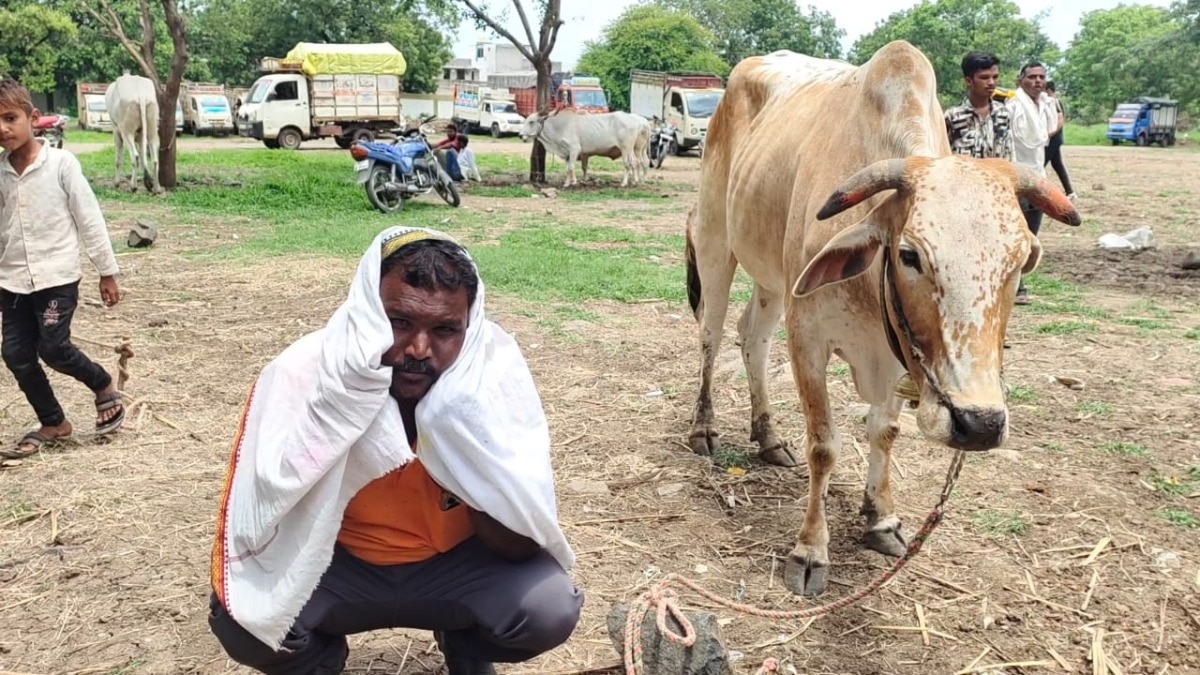 pashu mela