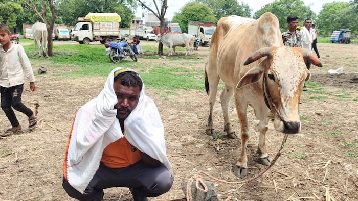 pashu mela