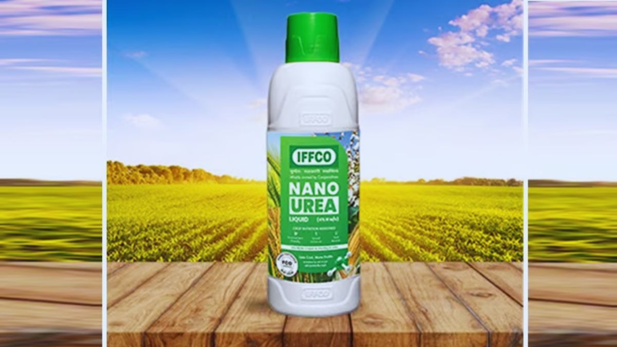 नैनो यूरिया और DAP खरीदने पर मिलेगा 2 लाख रुपये का फ्री बीमा, जानें क्या है यह योजना नैनो यूरिया और DAP खरीदने पर मिलेगा 2 लाख रुपये का फ्री बीमा, जानें क्या है यह योजना