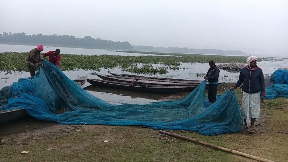 बिहार में मछली पालन को बढ़ावा, सरकार कराएगी बीमा...जानिए कैसे उठाएं योजना का लाभ बिहार में मछली पालन को बढ़ावा, सरकार कराएगी बीमा...जानिए कैसे उठाएं योजना का लाभ