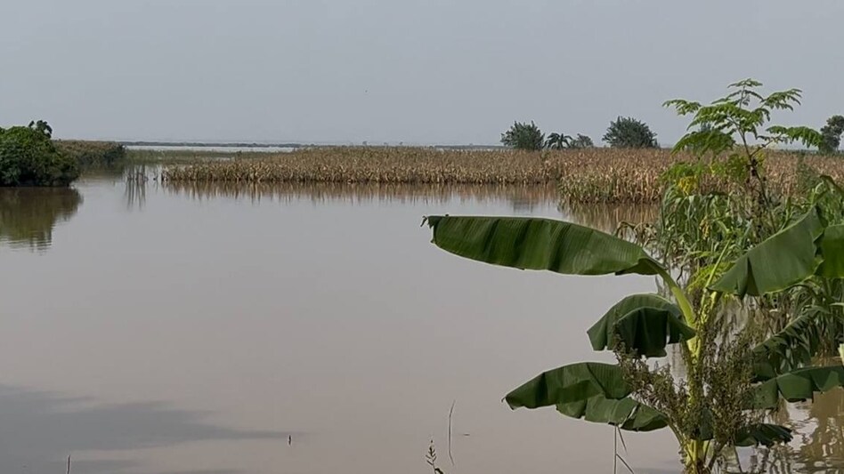 बिहार में गंगा का कहर: कहीं डूबे गांव तो कहीं बह गई सब्ज़ी की फसल, किसान परेशान बिहार में गंगा का कहर: कहीं डूबे गांव तो कहीं बह गई सब्ज़ी की फसल, किसान परेशान