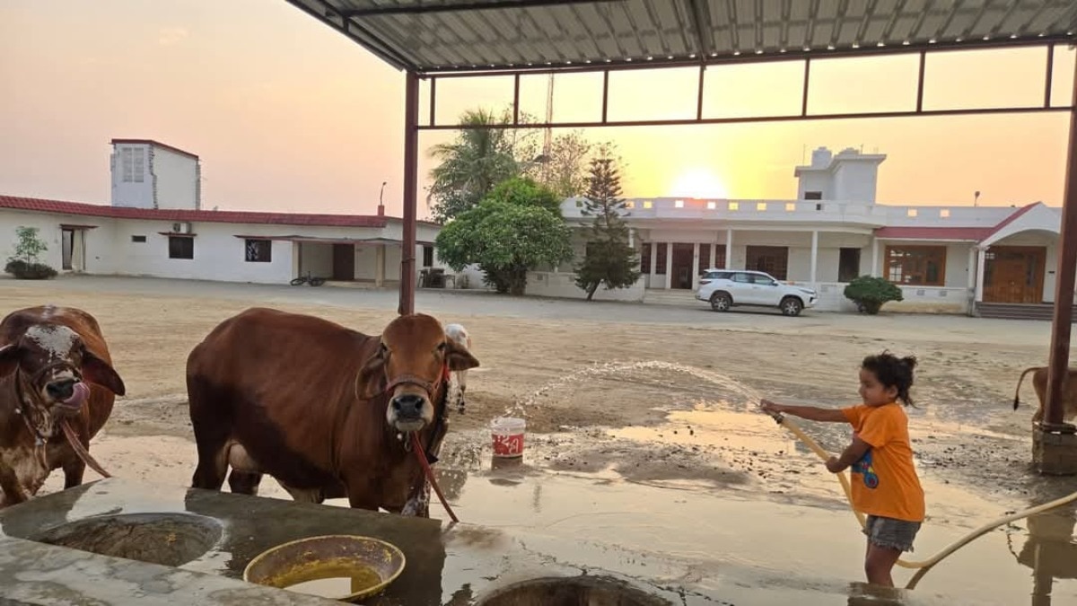 कान्हा गौशाला को लेकर नई पहल, यूपी हर जिले में सौंपी गई इन अधिकारियों की जिम्मेदारी, पढ़ें एक्शन प्लान