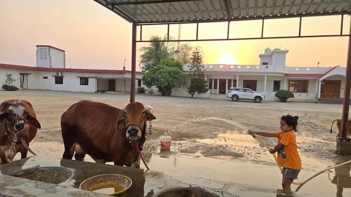 कान्हा गौशालाओं को अब समाज का संरक्षण भी