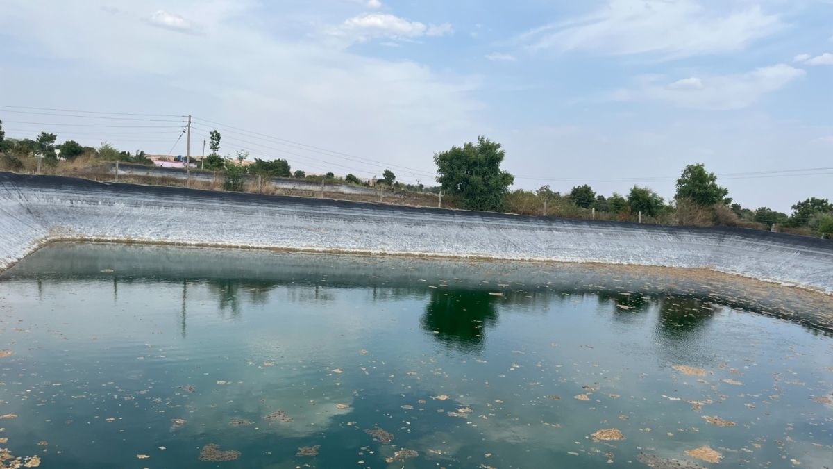 Fish Pond: तालाब निर्माण में अहम रोल निभाता है बांध, पानी रोकने के लिए है जरूरी Fish Pond: तालाब निर्माण में अहम रोल निभाता है बांध, पानी रोकने के लिए है जरूरी