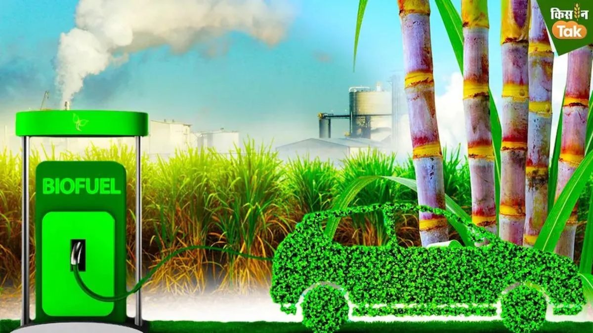 ethanol Blending Target