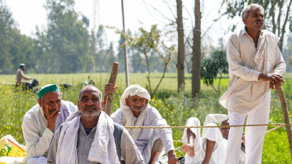 SKM देश के इन 7 जिलों में करेगा किसान महापंचायत, समर्थन में पंढेर ने कही ये बड़ी बात SKM देश के इन 7 जिलों में करेगा किसान महापंचायत, समर्थन में पंढेर ने कही ये बड़ी बात