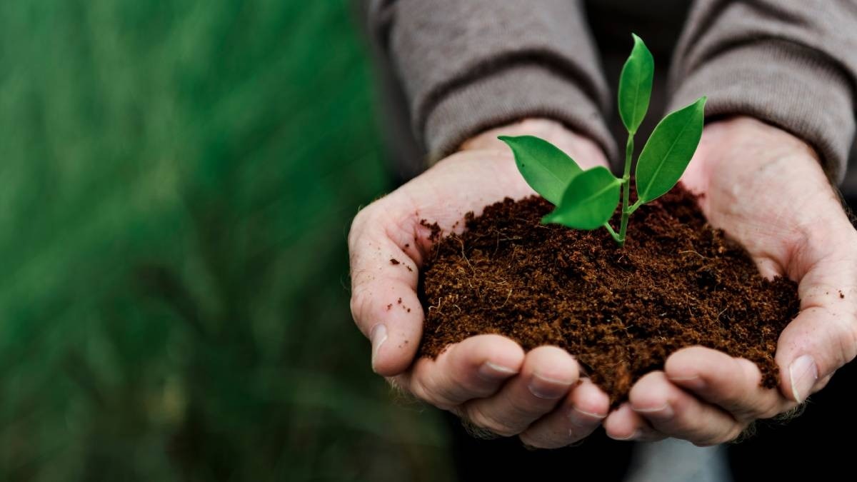 Organic Farming