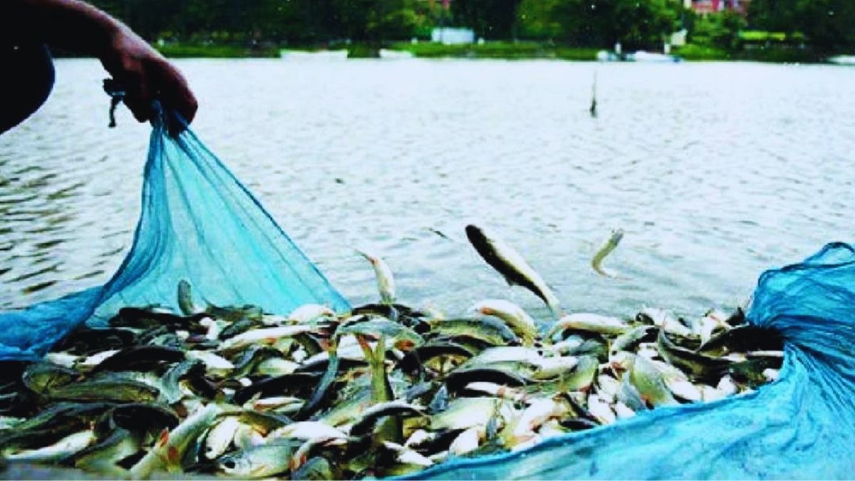 fish farming