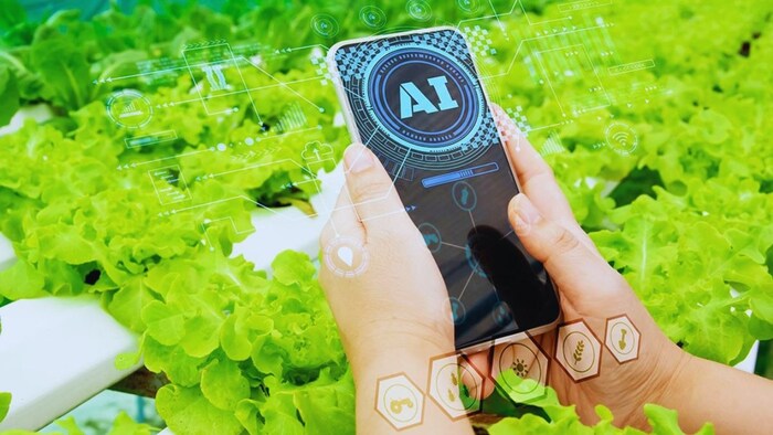 AI use in Farming