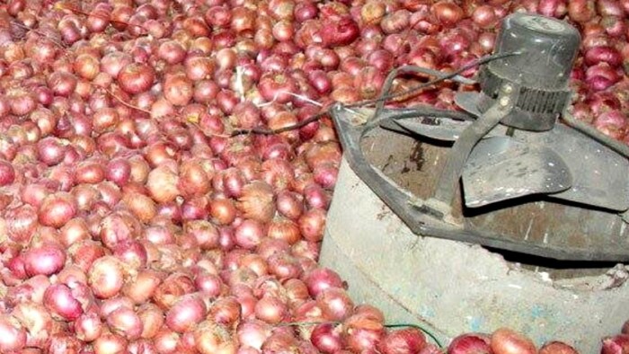Desi Jugaad to keep onions for a long time