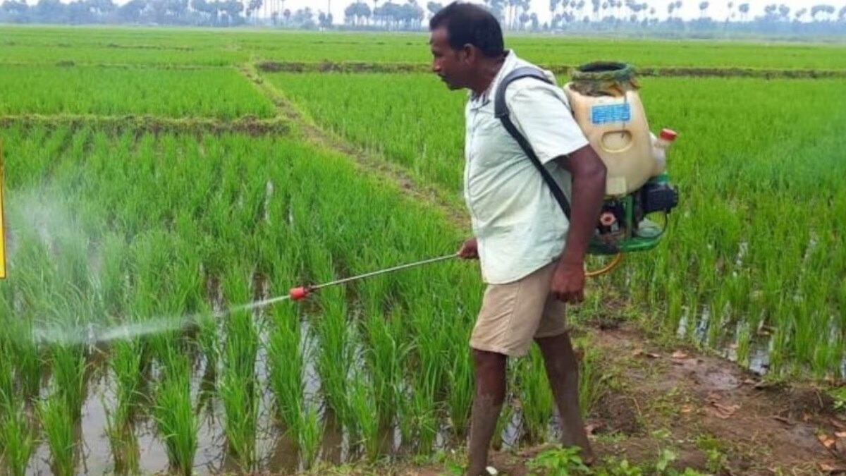 Nano Fertilizer Use
