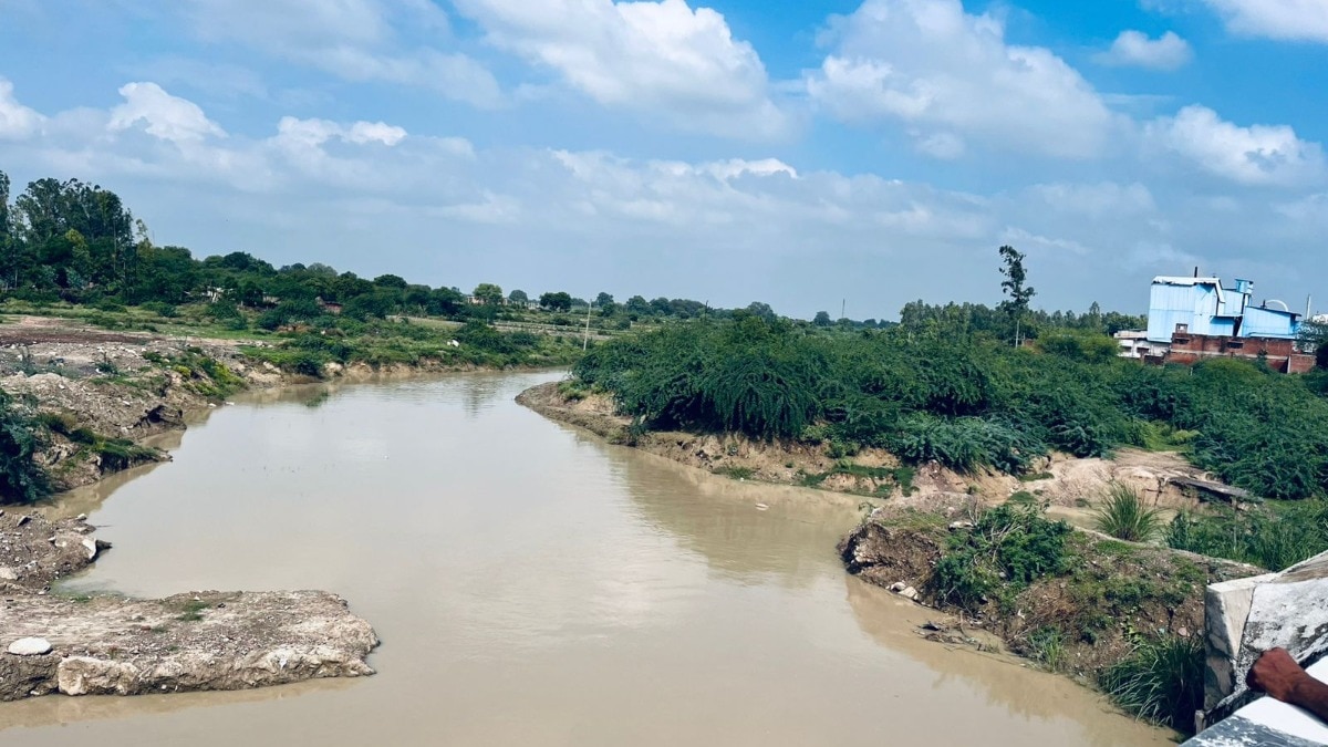 noon river