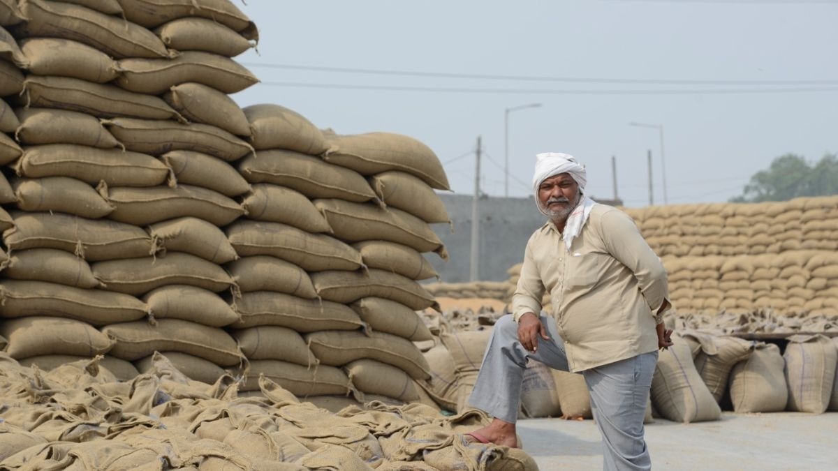 Wheat mandi Price