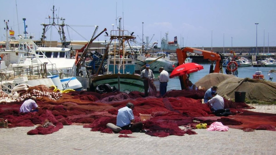 Fishermen Insurance: मछुआरों को सिर्फ 95 रुपये में मिलता है 5 लाख का बीमा कवर, प्रीमियम भी सरकार देगी Fishermen Insurance: मछुआरों को सिर्फ 95 रुपये में मिलता है 5 लाख का बीमा कवर, प्रीमियम भी सरकार देगी