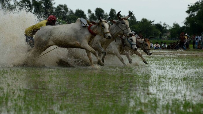August Monsoon Prediction