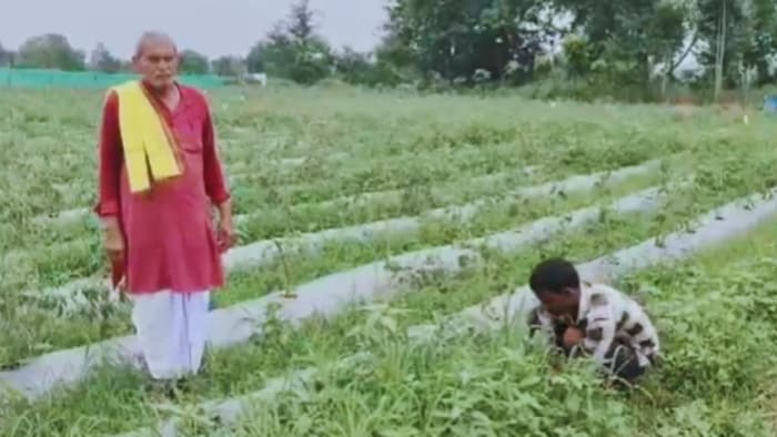 प्रगतिशील किसान