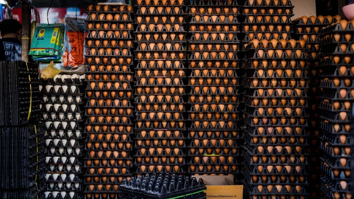 Egg smuggling surges in US from Canada 