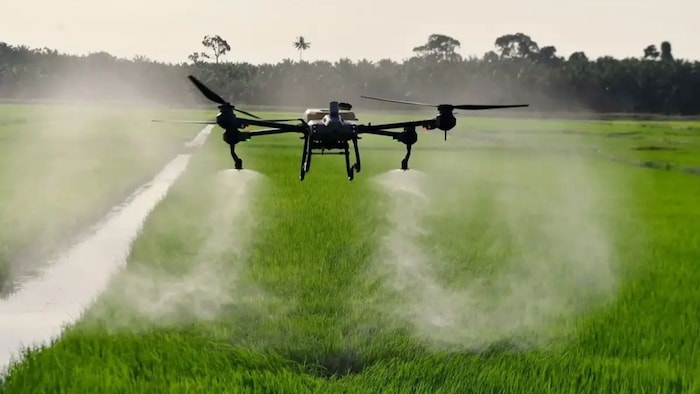 ड्रोन से होगी धान की रोपाई