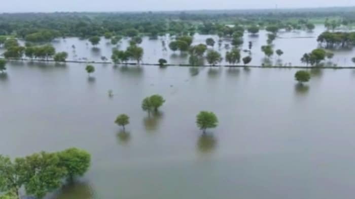 बर्बाद हुई 3 हजार बीघा फसल