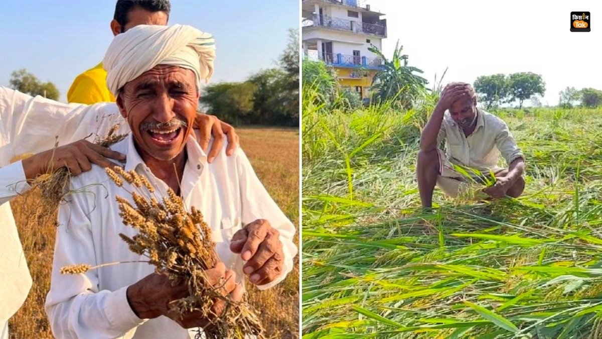 Accused of cheating farmers
