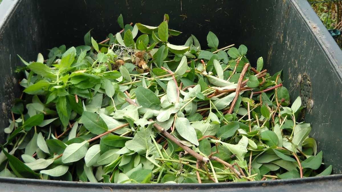 agriculture waste  
