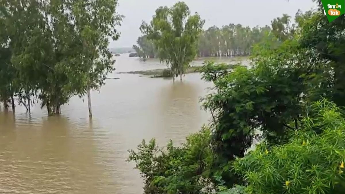 Auraiya Flood