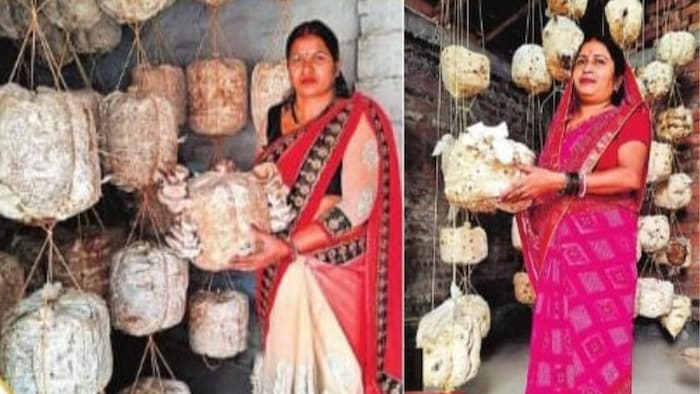 मशरूम से किस्मत बदल रहीं महिलाएं