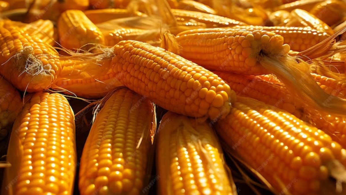 Himachal Pradesh Natural Crop Procurement