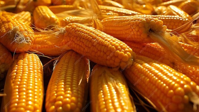 Himachal Pradesh Natural Crop Procurement