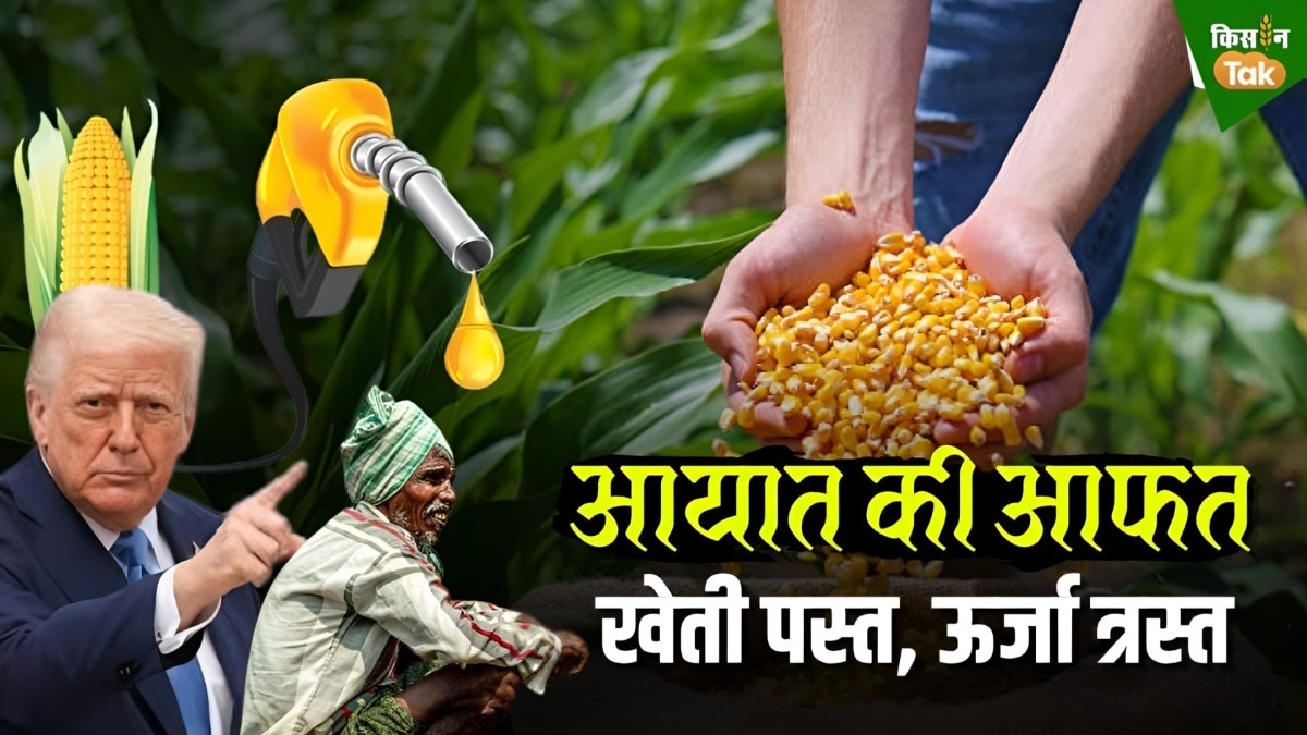 US-India Tariff 