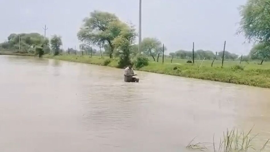 पंजाब के फाजिल्का में 20,000 एकड़ की फसलें हुई जलमग्न, गुस्साए किसानों ने की सड़क जाम पंजाब के फाजिल्का में 20,000 एकड़ की फसलें हुई जलमग्न, गुस्साए किसानों ने की सड़क जाम