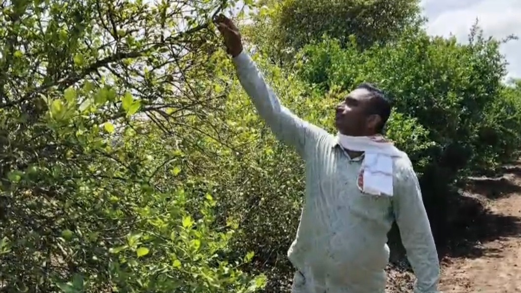 farmer success story
