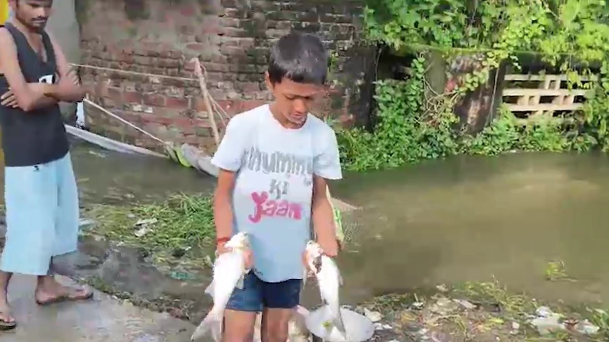 fish farming