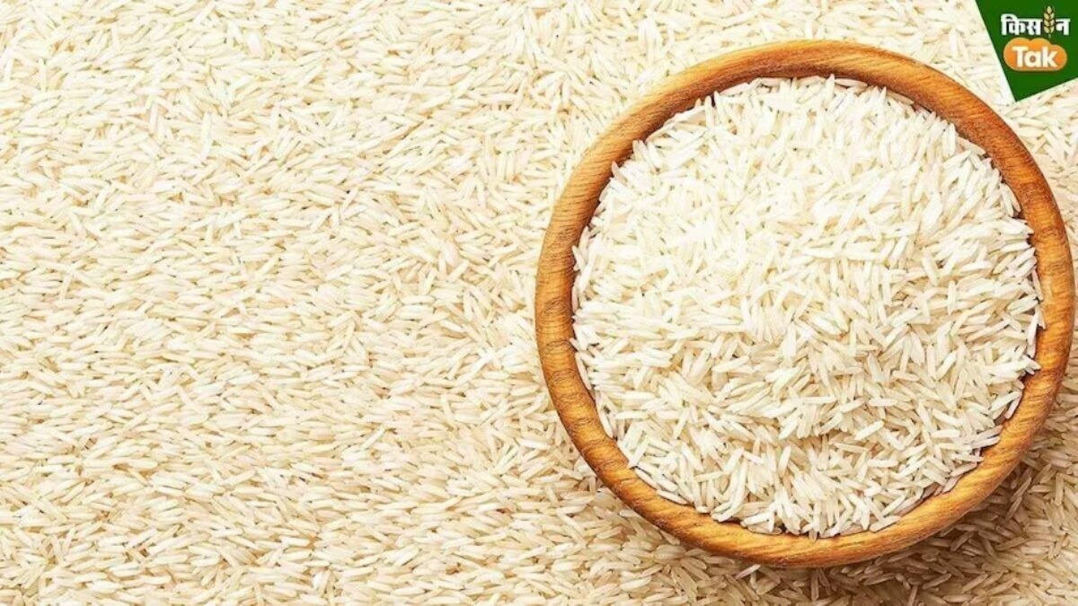 Basmati Rice Export Farm Seed Centre and lab Tarn Taran