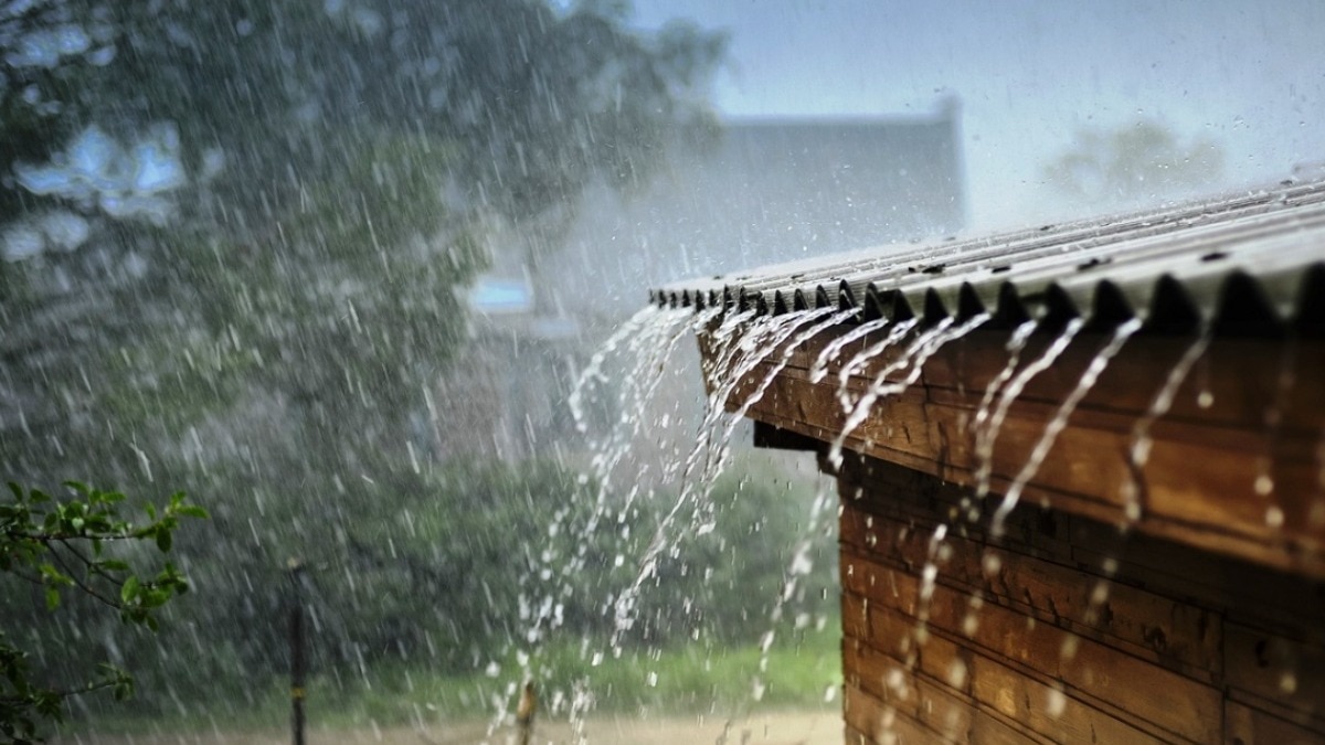 punjab rain