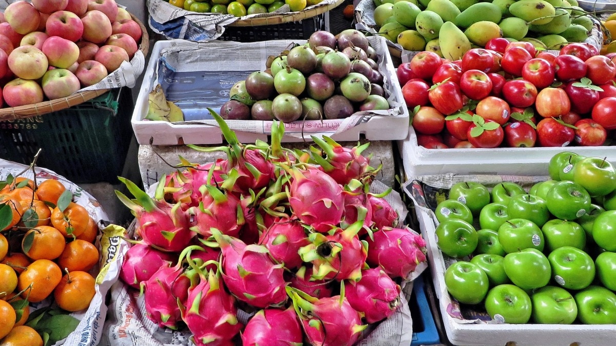 Fruit Farming 