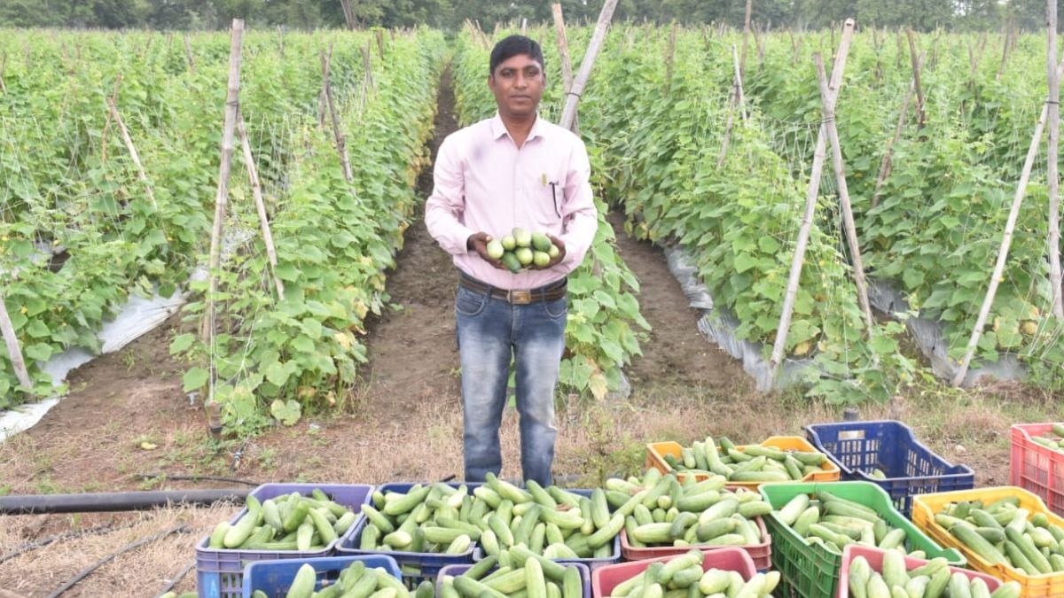 Rajnandgaon Farmer Suresh Sinha