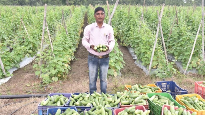 Rajnandgaon Farmer Suresh Sinha