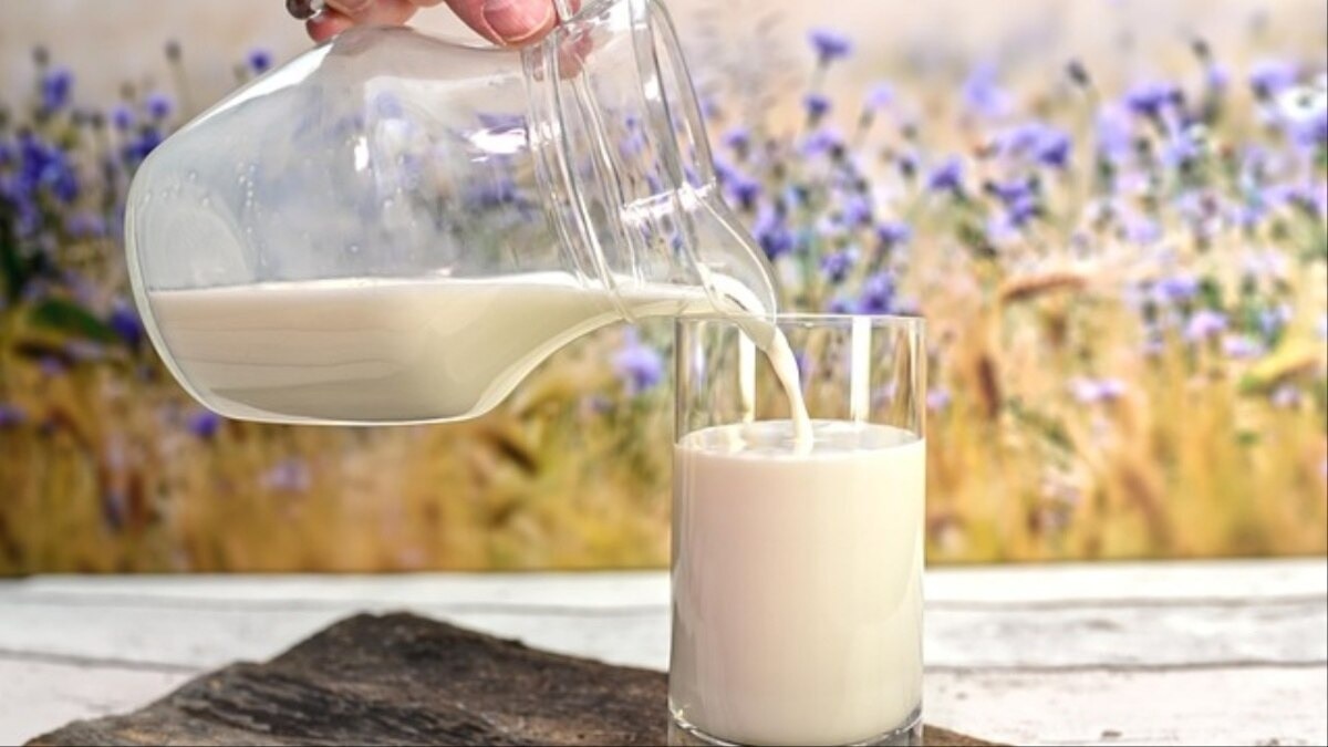 Cockroach milk