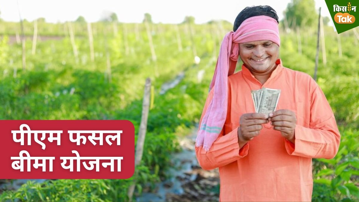 PMFBY: 35 लाख किसानों के खाते में आई फसल बीमा की पहली किस्त, 3900 करोड़ रुपये जारी