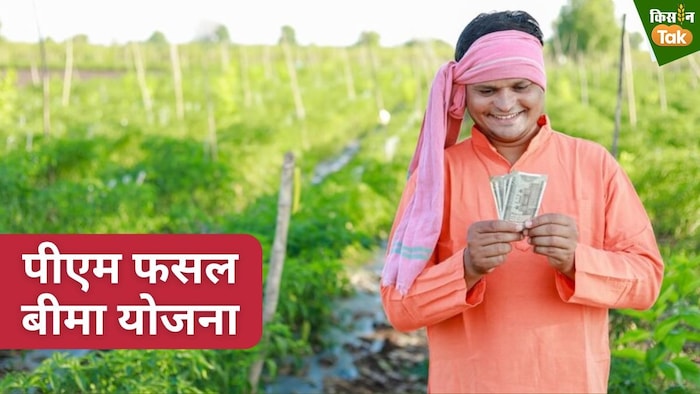 पीएम फसल बीमा योजना किसानों की मदद के लिए 2016 से चलाई जा रही है.
