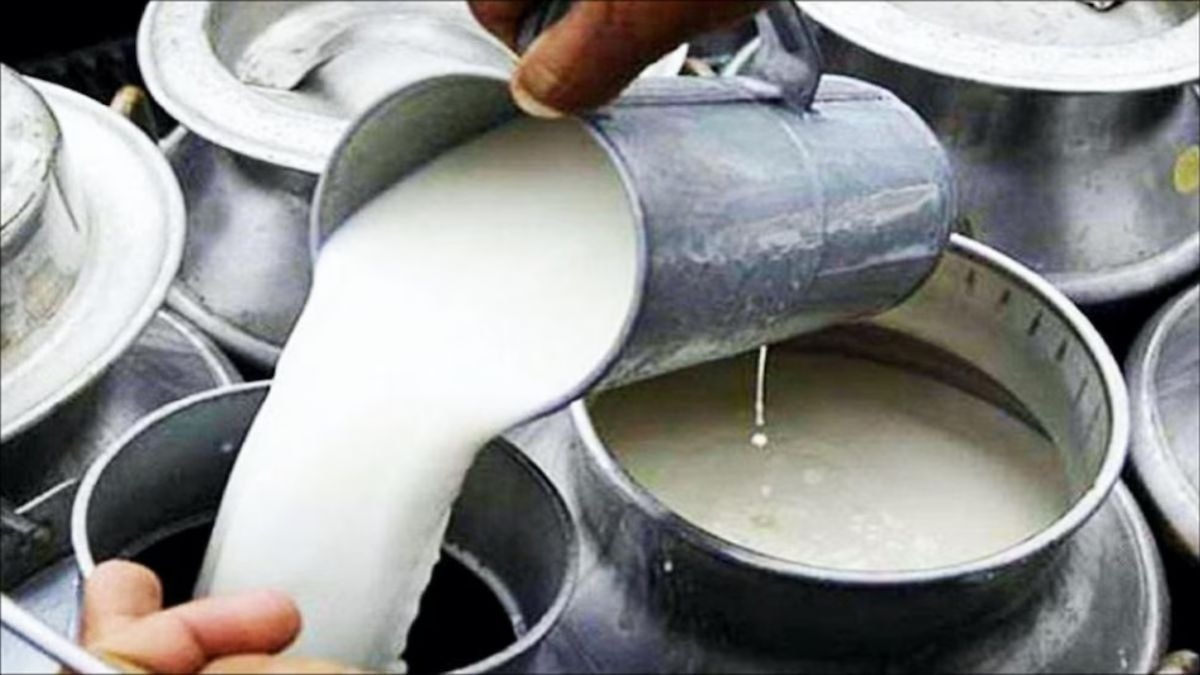 हिमाचल प्रदेश में किसानों की बढ़ेगी कमाई. (सांकेतिक फोटो)