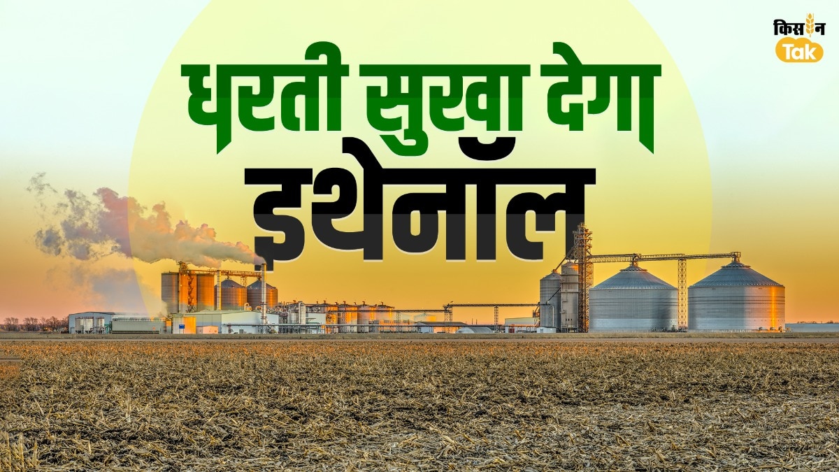 ETHANOL: 