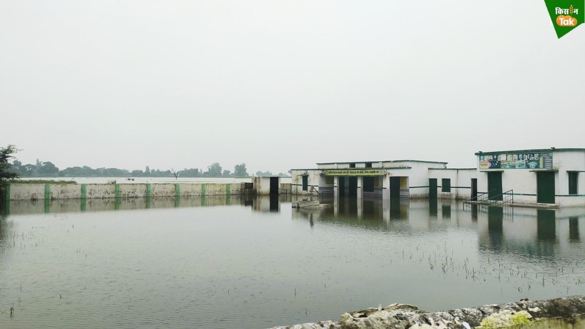 Flood News