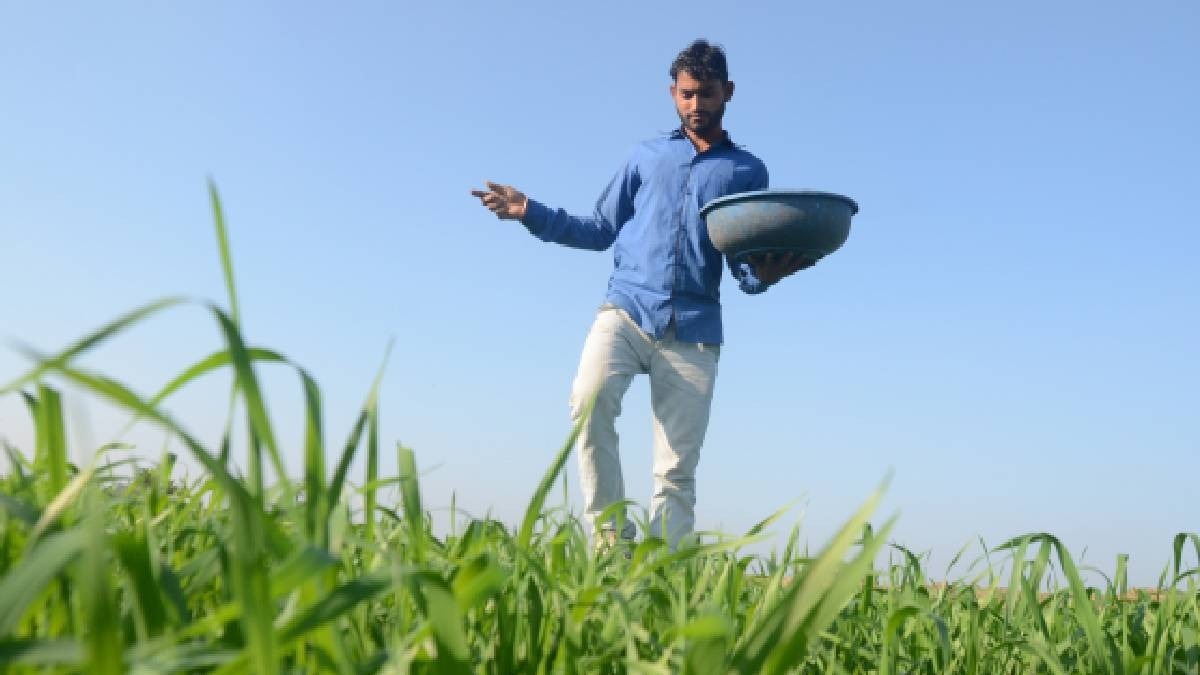 NPK fertilizer